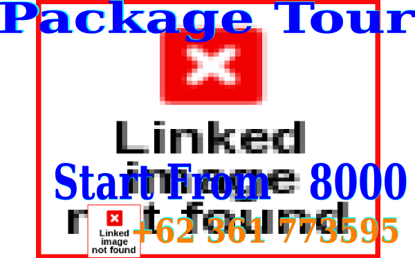 Tour Packages Clip Art - Academy (600x374)