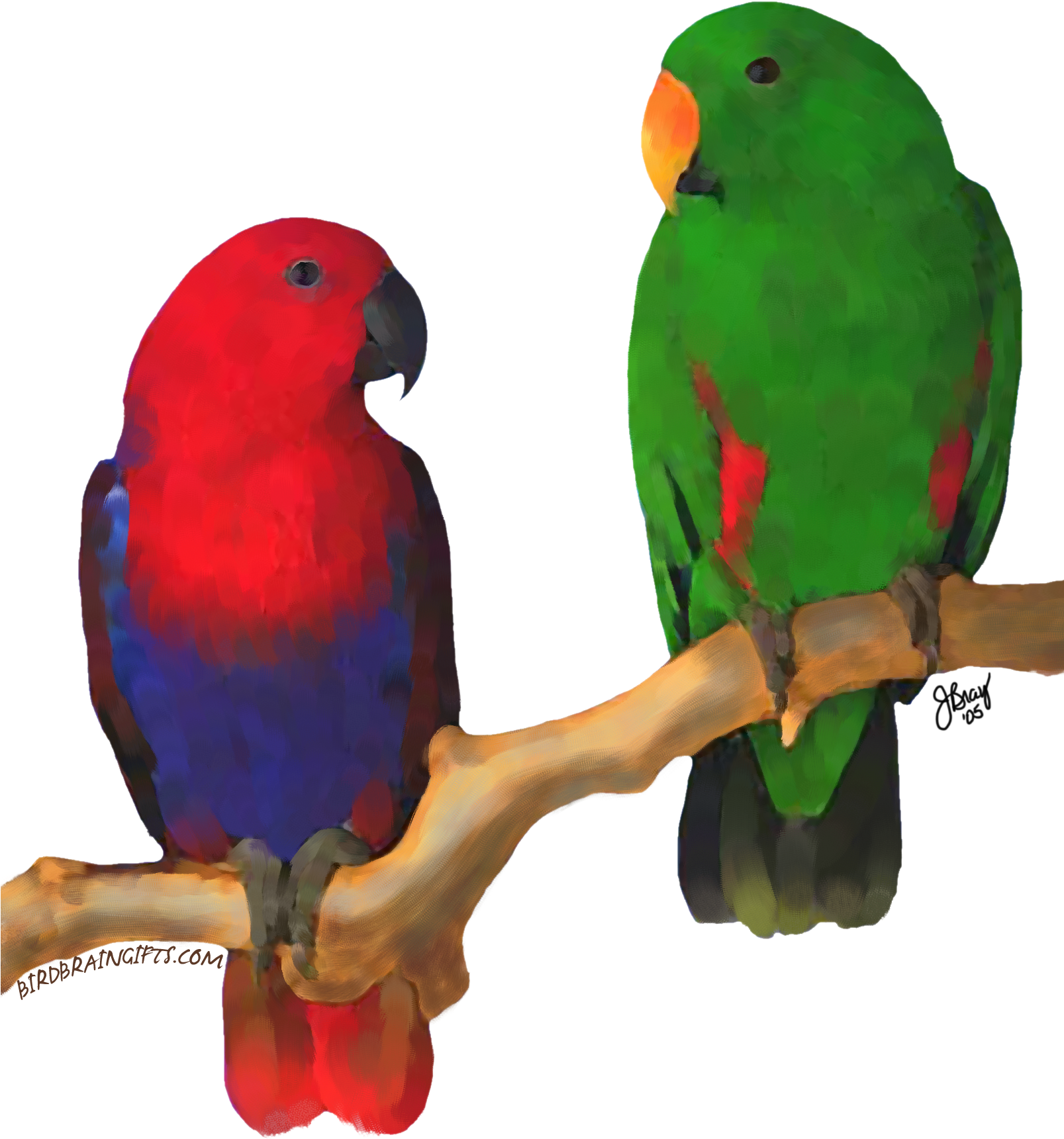 Eclectus Pair, Digital Oil - Parrots Of The World (2000x2000)