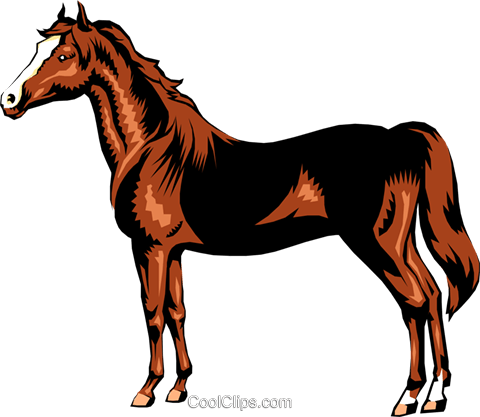 Horse Royalty Free Vector Clip Art Illustration - Sorrel (480x417)