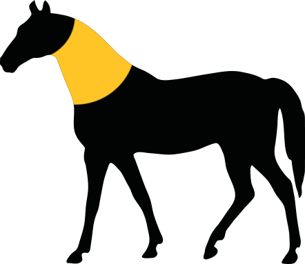 How Would You Describe The Girth Of The Horse - Unicorn Silüet (442x383)