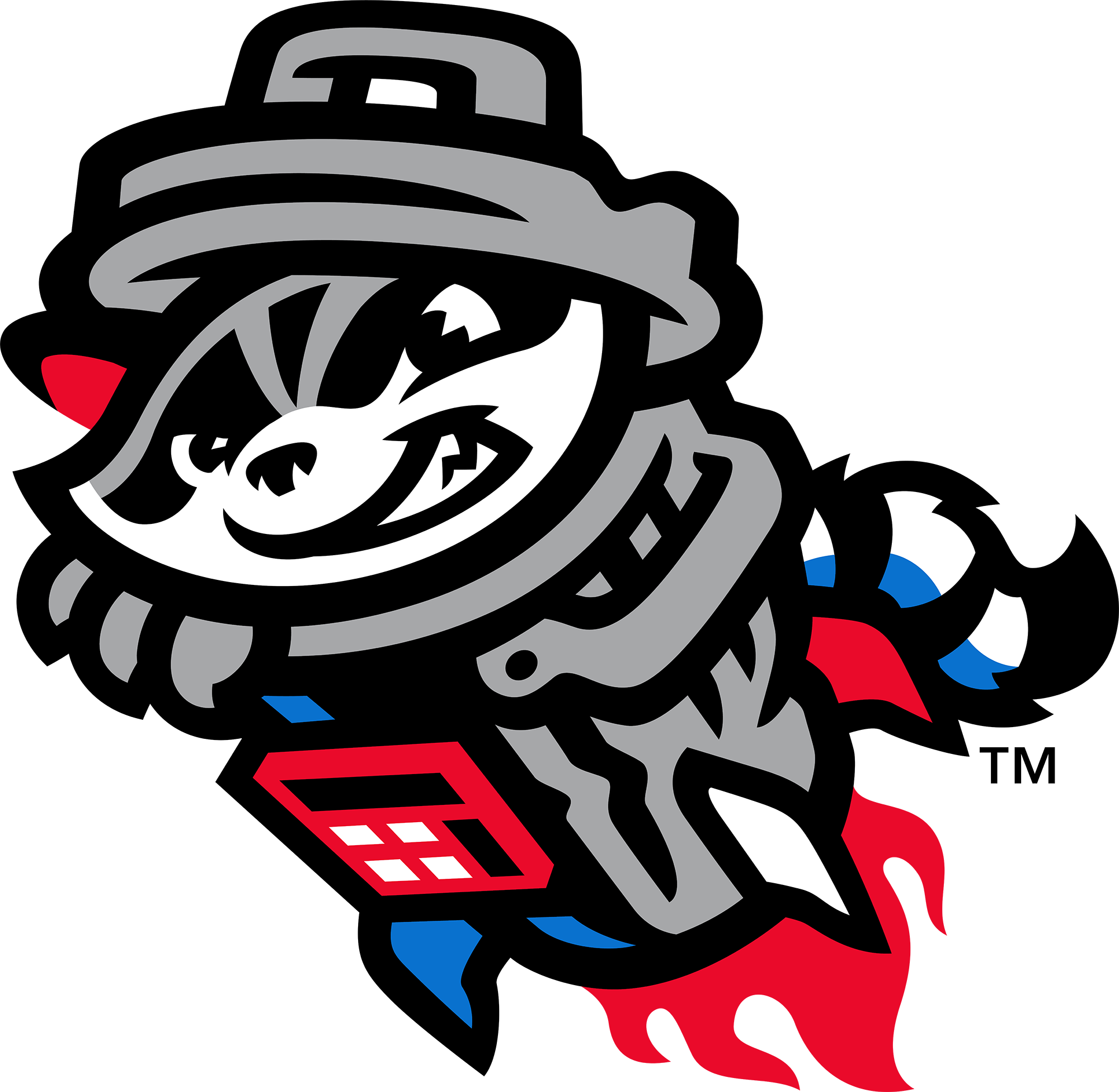 Director Ticket Sales With Rocket City Trash Pandas - Rocket City Trash Pandas Logo (2000x1951)