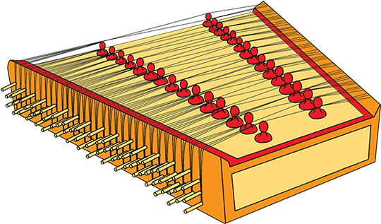 Musical Instruments Jcarya - Santoor Instrument Drawing (588x345)