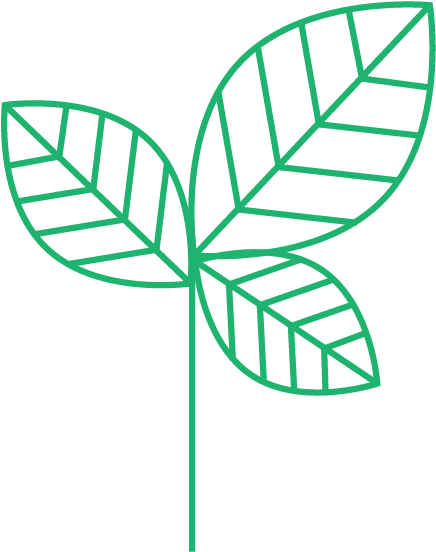 Grow - Lensless Fourier Transform Digital Holography (532x588)