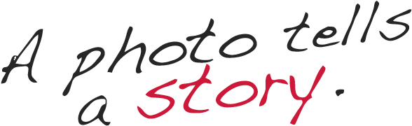 A Shelter Dog Story - Calligraphy (800x206)