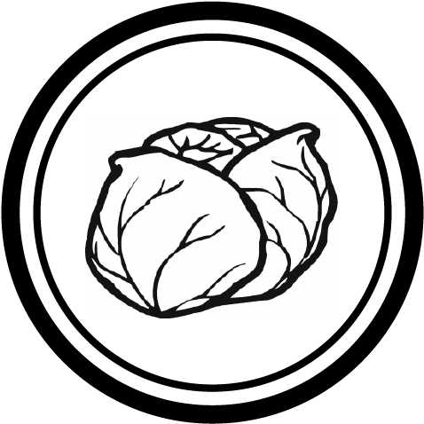 Salad Greens - Lettuce Coloring Page (525x529)