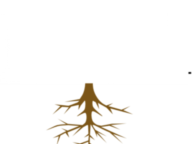 Roots Clipart Rooted Tree - Illustration (640x480)