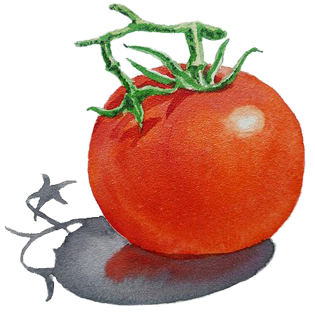 Png Freeuse Library Art Watercolor Painting Illustration - T Art Alphabet For Kids Room (564x564)