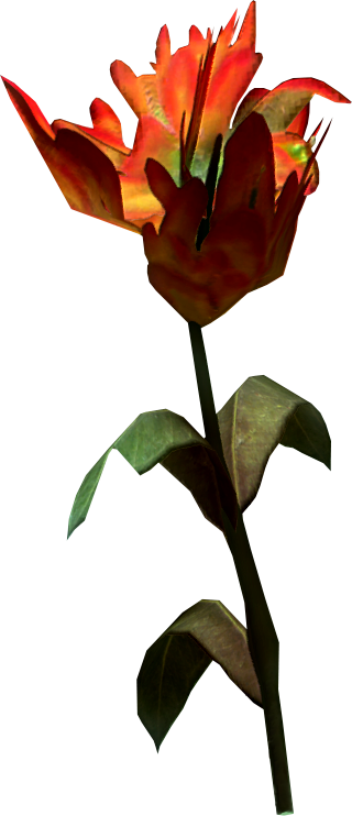 Image Transparent Library Nightshade Drawing Skyrim - Skyrim Flower (320x742)
