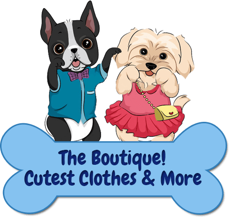 Welcome To The Beautiful Puppy Boutique We Have The - Dog (472x449)