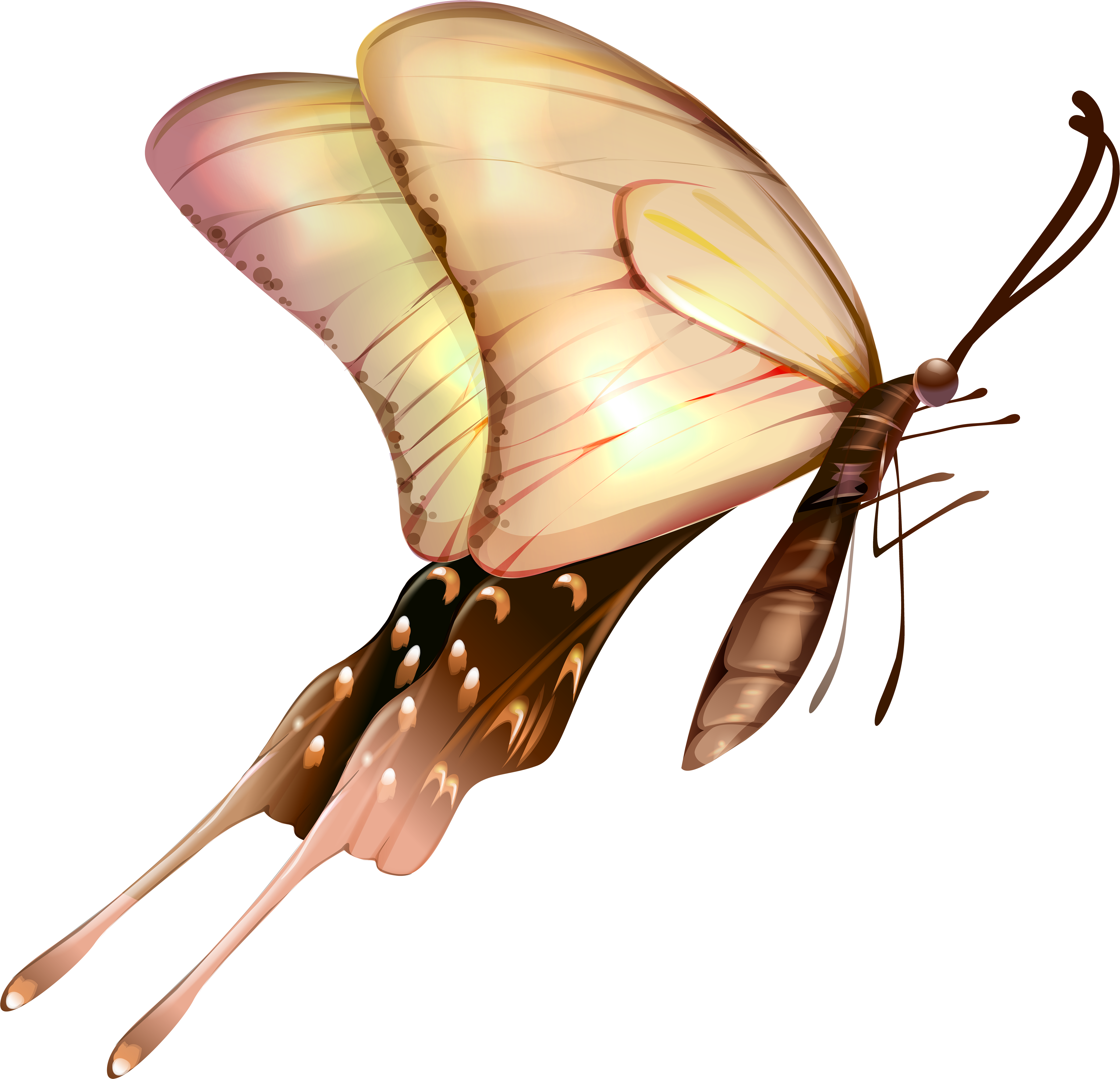 Butterfly With Transparent Wings - Transparent Butterfly Png (6000x5756)