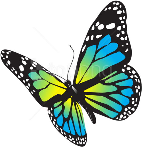 Free Png Large Butterfly Png Images Transparent - Butterfly Png Free (480x497)