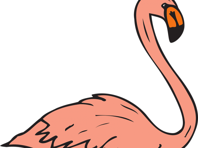 Flamingo Clipart Wings - Flamingo Swimming Clipart (640x480)