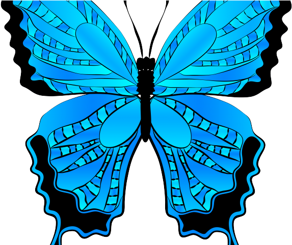 Moth Clipart Botanical Illustration - Stock Vector Blue Butterfly Isolated On White (640x480)