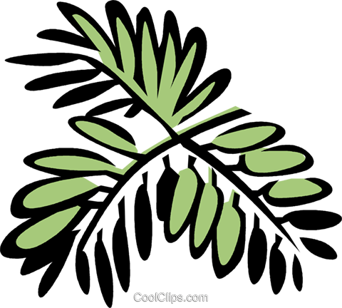 Mimosa Royalty Free Vector Clip Art Illustration - Mimosa Royalty Free Vector Clip Art Illustration (480x432)