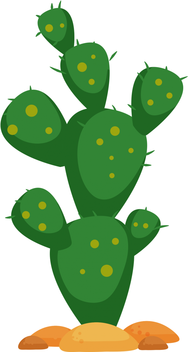Cactus Clipart Png - Eastern Prickly Pear (715x1240)