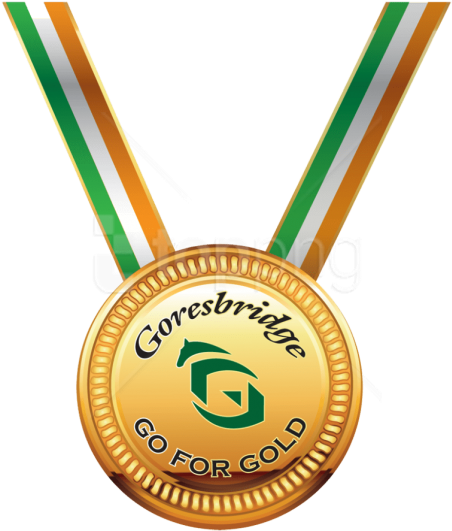 Free Png Download Gold Medal Clipart Png Photo Png - Png Medal (480x566)