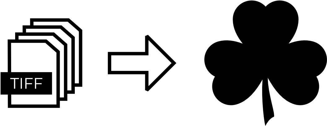 Importing Datasets Into Webknossos - Shamrock (1400x600)