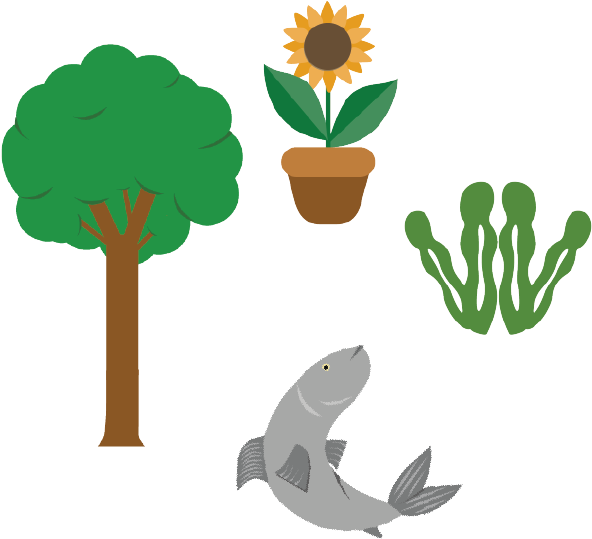 Wild Fauna, Flora, Fish And Other Aquatic Fauna - Illustration (832x764)