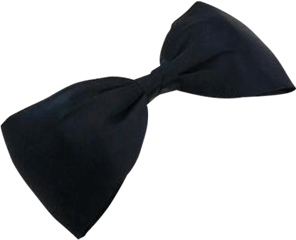 Large Satin Bow Hairclip - Paisley (415x415)