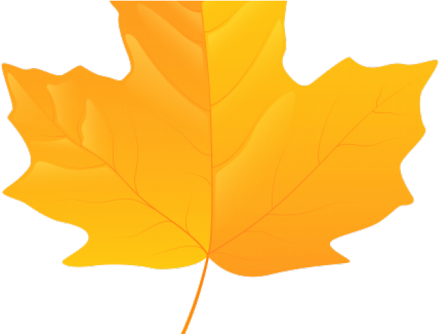 Autumn Leaves Clipart Yellow - Maple Leaf Png Yellow (640x480)