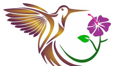 Aves Exóticas De Colombia - Aves Exoticas De Colombia (607x273)