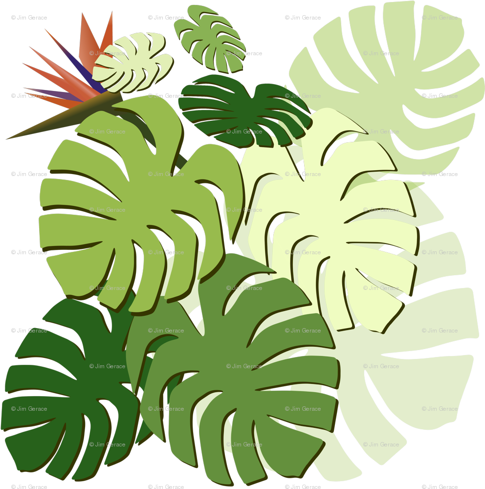 Monstera Cluster Various With Bird Of Paradise Fabric - Monstera Cluster Various With Bird Of Paradise Fabric (1000x1000)