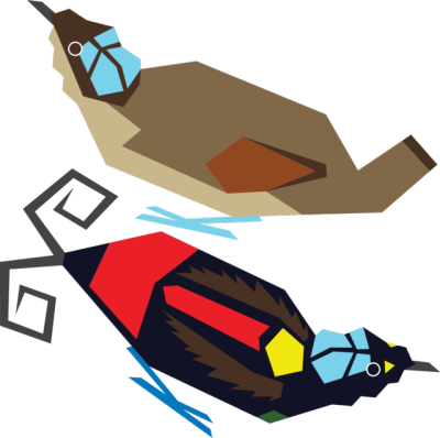 A Pair Of Wilson's Birds Of Paradise - Illustration (400x398)