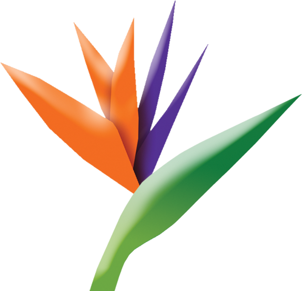 Tlp Logo - Bird Of Paradise (658x618)