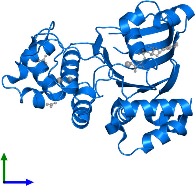 <div Class='caption-body'>pdb Entry 1xfa Contains 1 - Graphic Design (800x800)