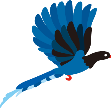 Parrot Sketch Script - 台灣 藍 鵲 剪影 (380x380)