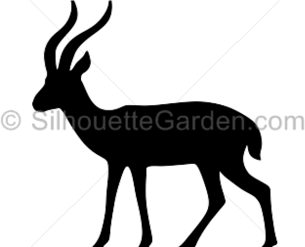 Animal Clipart Gazelle - Thomson's Gazelle (640x480)