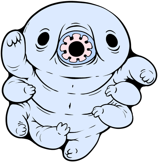 Enamel Pin By Jonathan Wojcik Kickstarter This - Clip Art Water Bear (680x700)