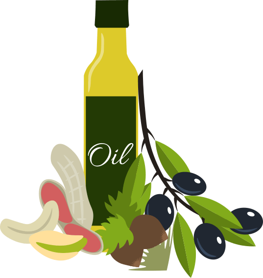 Nuts And Healthy Oils - Illustration (537x567)