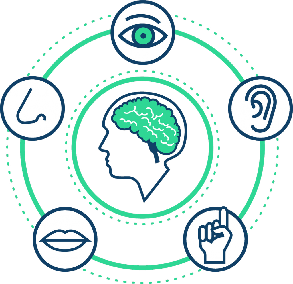 Exercises To Generate - Synesthesia Clipart (1024x991)