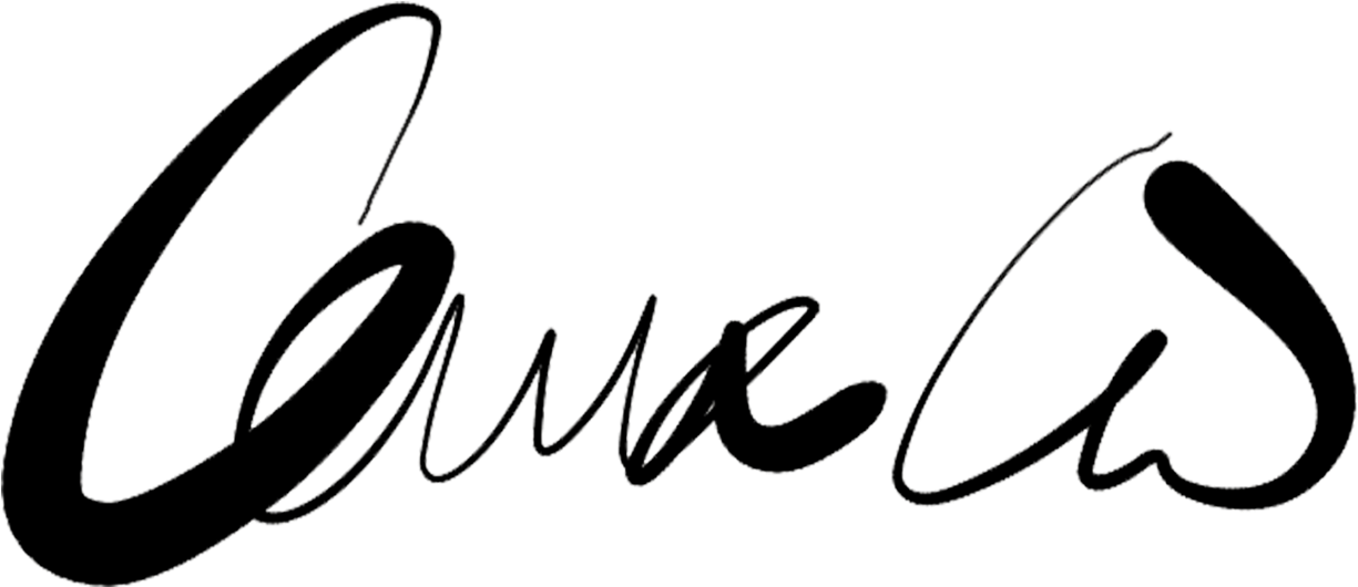 “can Art Descend Lower” - Calligraphy (1224x750)