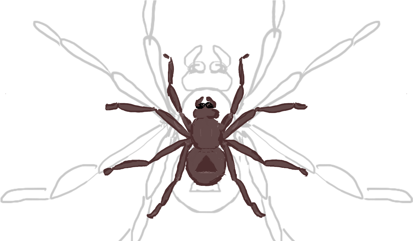 Storyfeather - Human Body Louse (1432x816)