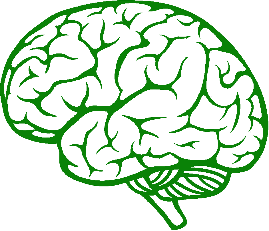 Brain Side View Vector (942x808)