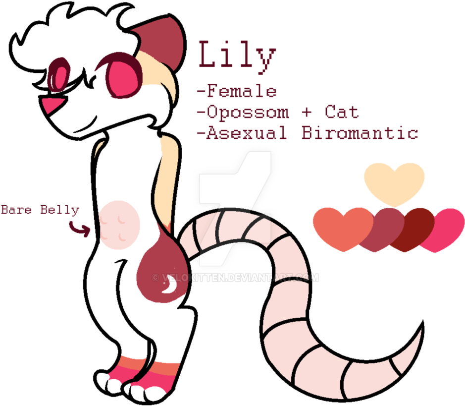 Lily The Opossum Cat By Velokitten - Cat (948x843)