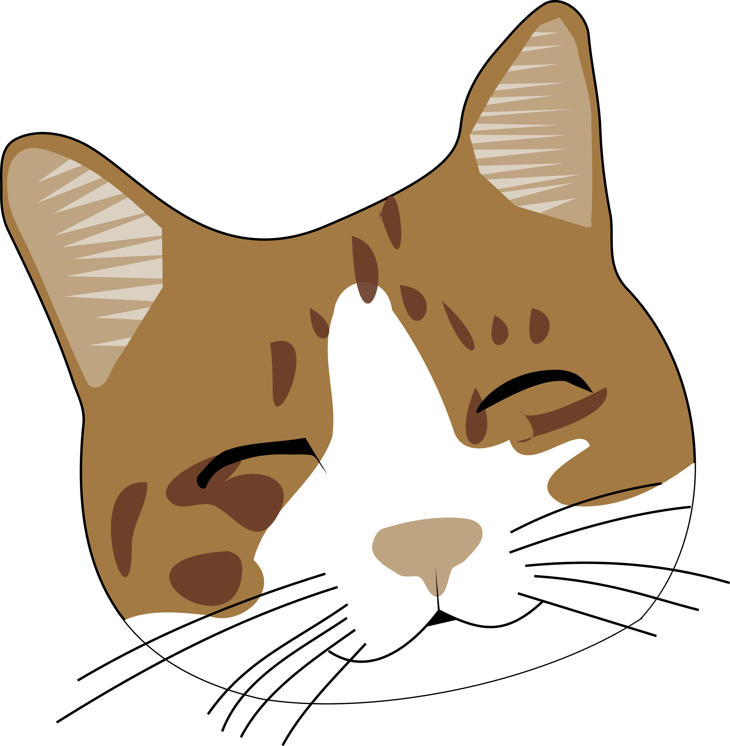 Лицо котика