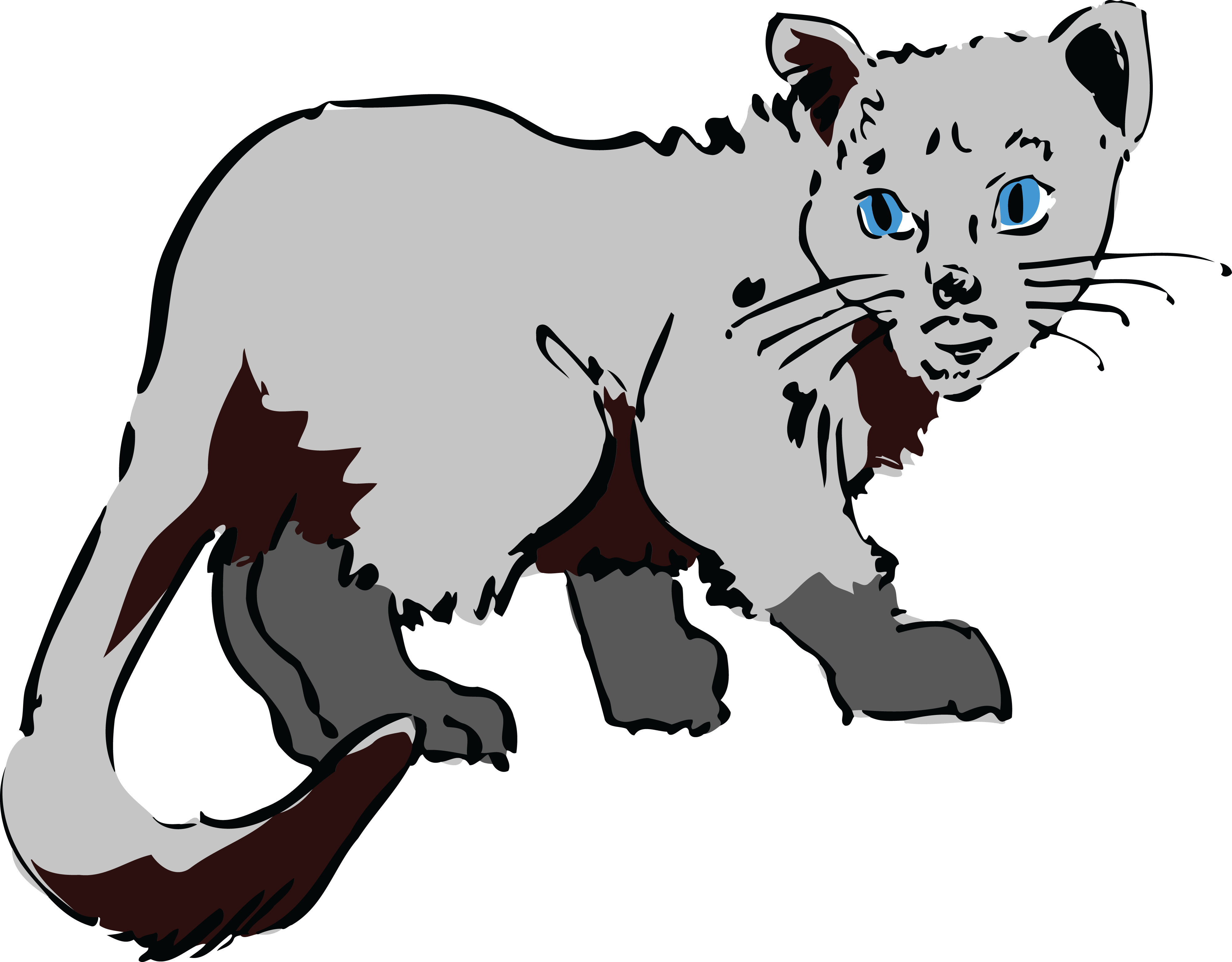 Free Clipart Of A Gray Cat - Cat (4000x3123)