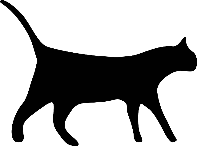 Black, Icon, Silhouette, Dog, Free, Cats, Pet - Cat Silhouette Clip Art (640x474)