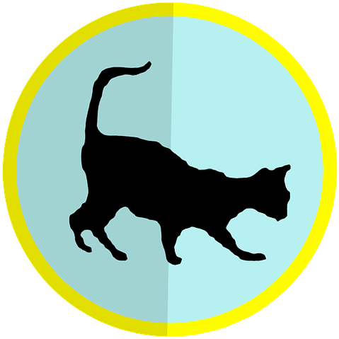Tail Clipart Cat Shadow - Icon (720x720)