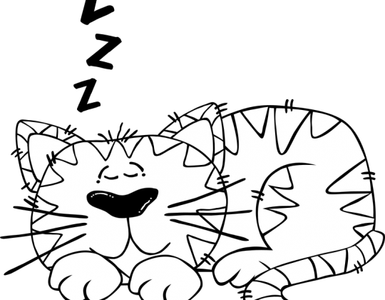 Procrastination - Katze Clipart Schwarz Weiß (540x420)