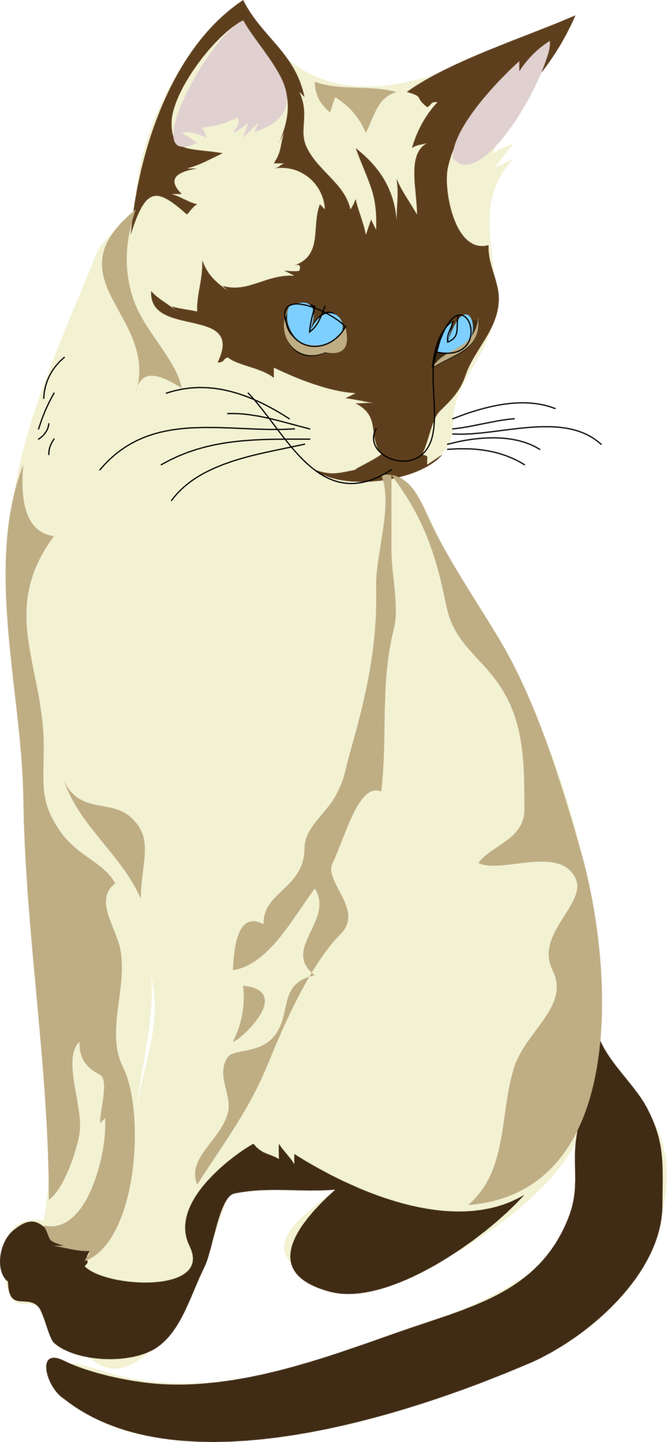 Public Domain Clip Art Image - Siamese Cat Clipart (958x2070)