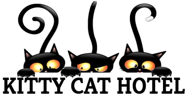 Kitty Cat Hotel In Eugene Oregon - Custom Yours Ynytsyal Three Girlfriends Black Cat Custom (599x318)