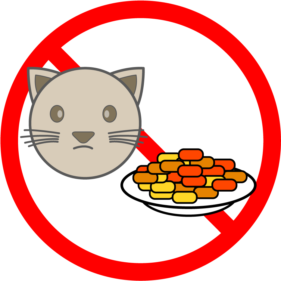 School And Study - Do Not Feed Cat (1000x1000)