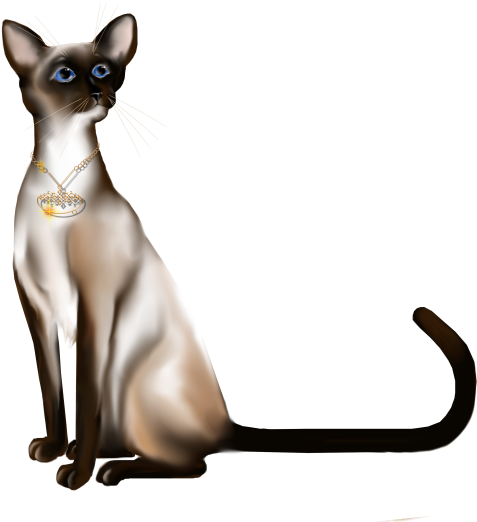 Himalylan And Mountains - Owned By A Cat Mug (550x555)