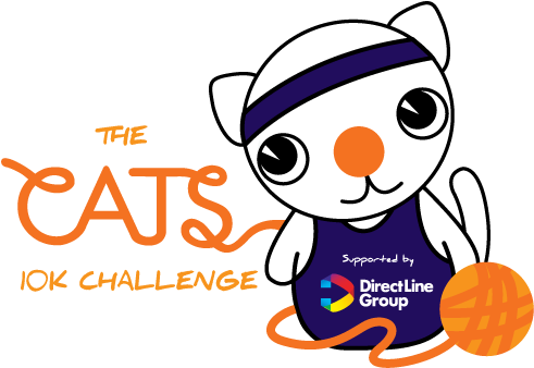 Register Now - Cats Foundation (497x337)