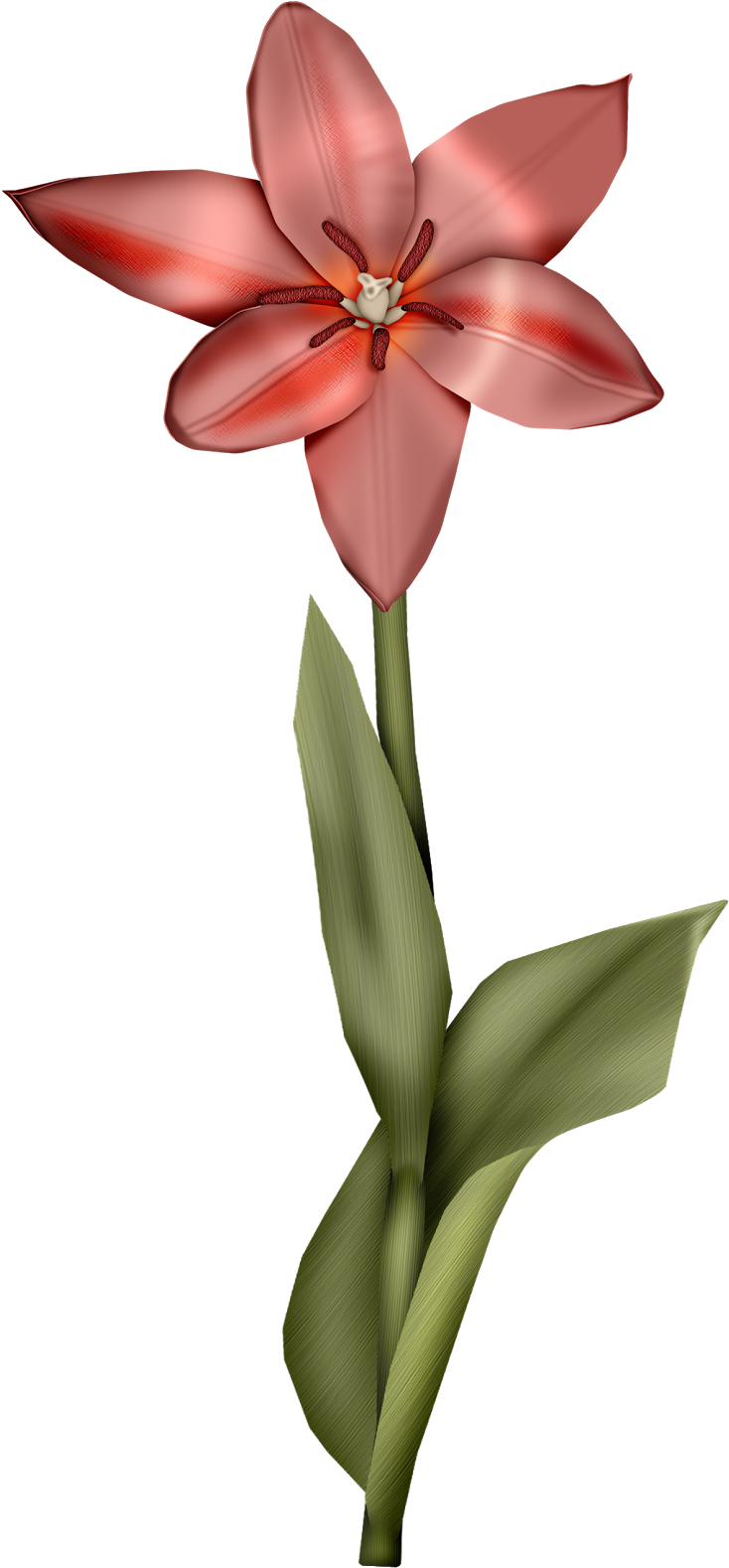 Delicate Retro Birds Clipart - Do It Yourself (756x1600)