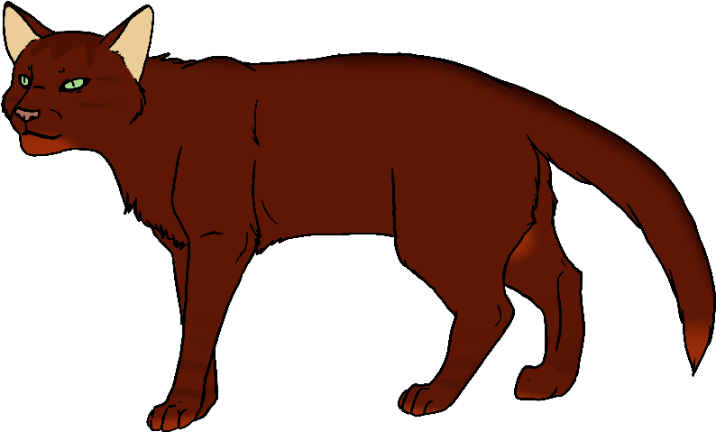 Dark Ginger - Thunderclan (900x652)